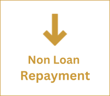 Non Loan Repayment Non Loan Repayment